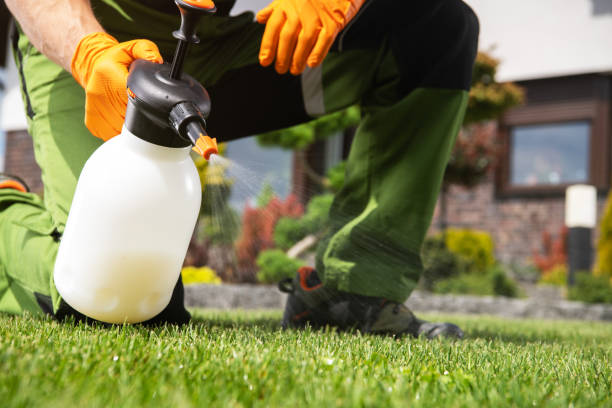 Reliable Waialua, HI Pest Control Solutions