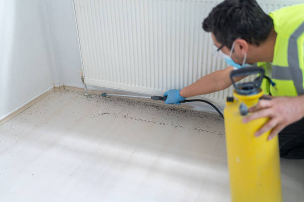 Best Bed Bug Extermination  in Waialua, HI